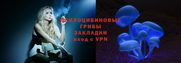 не бодяженный Арсеньев