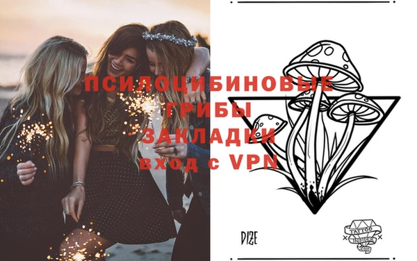 ALPHA PVP Аркадак